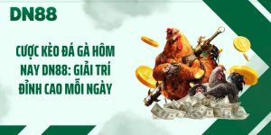 Cược Kèo Đá Gà Hôm Nay DN88: Giải Trí Đỉnh Cao Mỗi Ngày