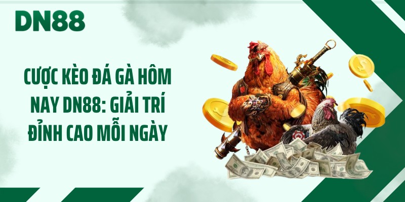 Cược Kèo Đá Gà Hôm Nay DN88: Giải Trí Đỉnh Cao Mỗi Ngày